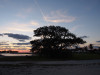West-End-Sunset-11