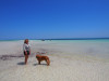 1004 6-May-2013-Fortuna-Beach-wayne (126)