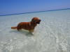 1010 6-May-2013-Fortuna-Beach-wayne (128)